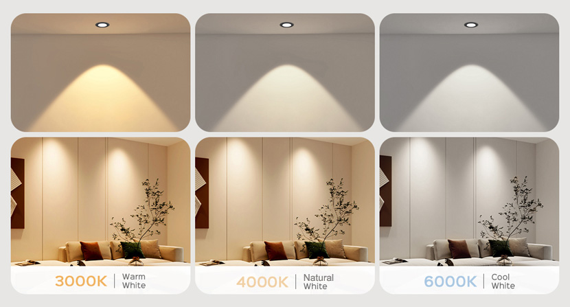 LED Recessed Light